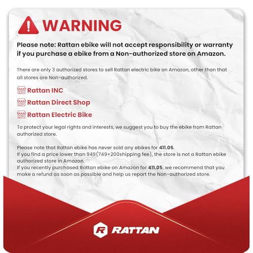 R RATTAN 750W Electric Bike for Adults 48V 13AH Removable Battery Foldable Electric Bikes LM/LF Pro Ebike 20'' x 4.0 Fat Tire Electric Bicycles 2 Seater (LM Gray, with Rear Basket)
