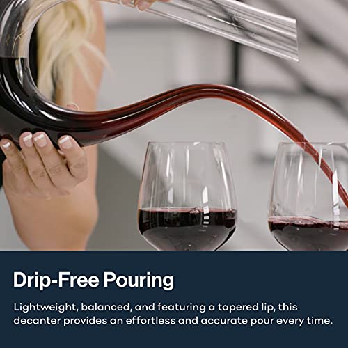 HiCoup Red Wine Decanter with Aerator - 750mL Crystal Glass Wine Carafe and Purifier for Home Bar