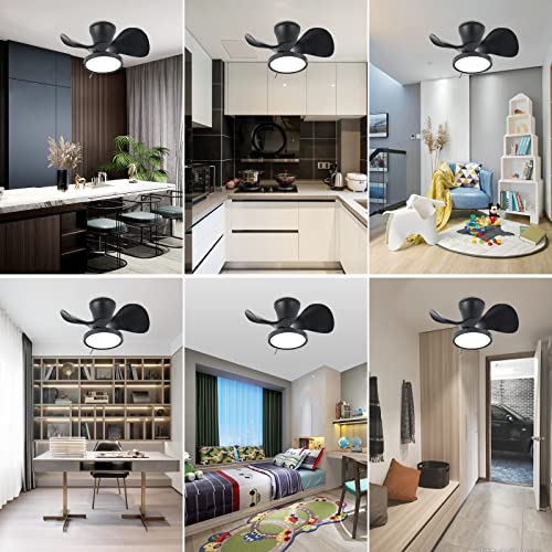 ocioc Quiet Ceiling Fan with LED Light 22 inch Large Air Volume Remote Control for Kitchen Bedroom Dining room Patio