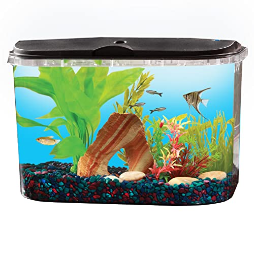 Koller Products 5-Gallon Aquarium Starter Kit with LED Lighting (7 Color Selections) and Power Filter, Ideal for a Variety of Tropical Fish