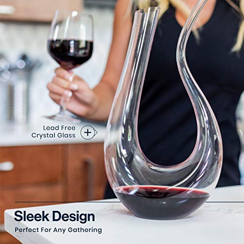 HiCoup Red Wine Decanter with Aerator - 750mL Crystal Glass Wine Carafe and Purifier for Home Bar