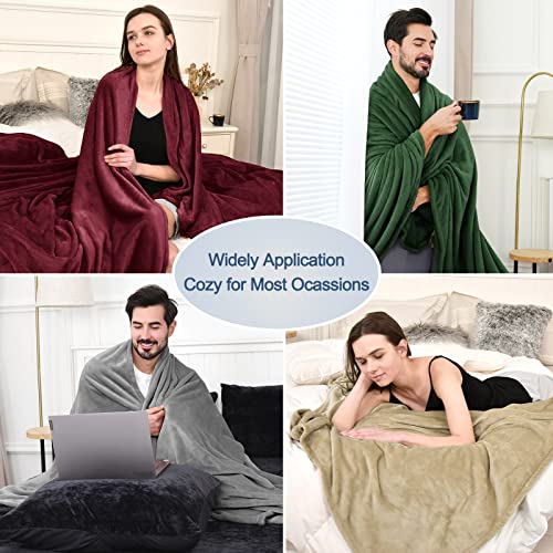 David's Home Fleece Queen Blanket,Ultra Soft More Durable Lightweight Velvety Bed Blanket,Lint-Free& No Pilling,300GSM All Season Luxury Plush Cozy Blanket with Wider Stitched Border,90"x90",Dark Grey