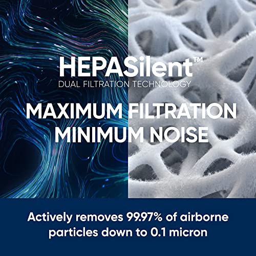 BLUEAIR Pro Air Purifier for Allergies Mold Smoke Dust Removal in Medium Office Spaces Homes and Lobbies, Pro M, White
