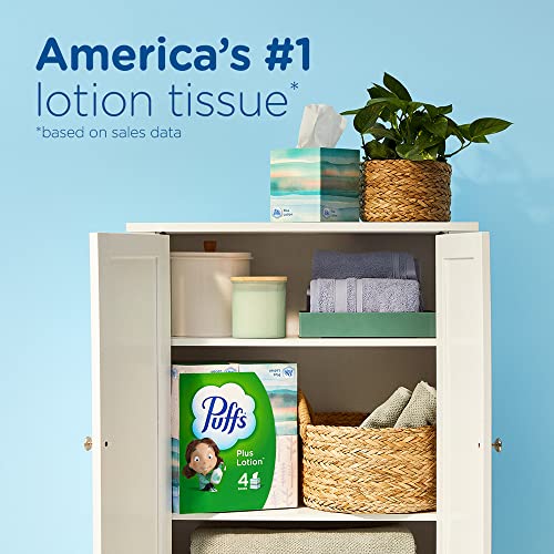 Puffs Plus Lotion with Vicks Facial Tissues, 24 Cubes, 48 Tissues per Box