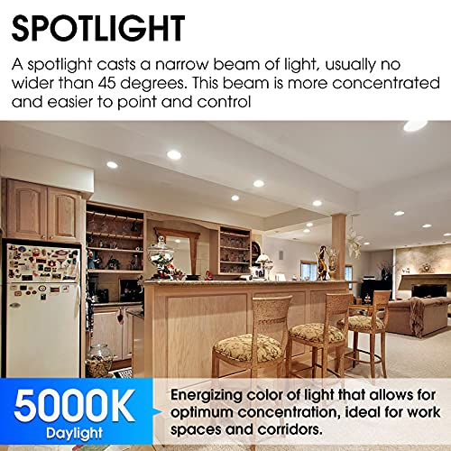 Energetic 1250LM Outdoor 12PK Par38 Led Flood Light Bulb, 5000K Daylight, 100W, Dimmable, CRI90, E26 Base, Waterproof Led Spotlight Bulb, UL Listed