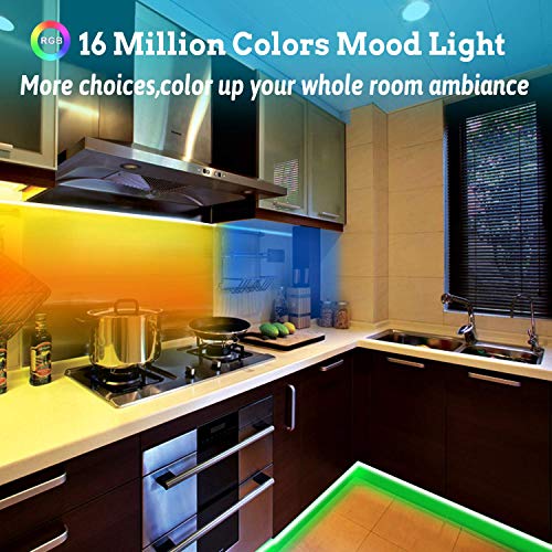 Tenmiro 65.6ft Led Strip Lights, Ultra Long RGB 5050 Color Changing LED Light Strips Kit with 44 Keys Ir Remote Led Lights for Bedroom, Kitchen, Home Decoration
