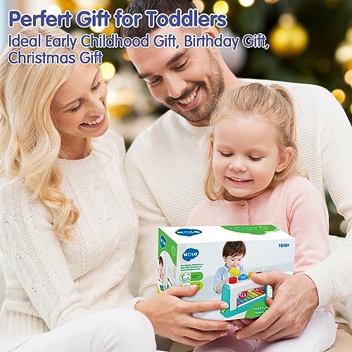 HOLA Toys for 1 Year Old Boy Gifts- 4 in1 Musical Pounding Toy with Xylophone, 1 Year Old Boy Birthday Gift,