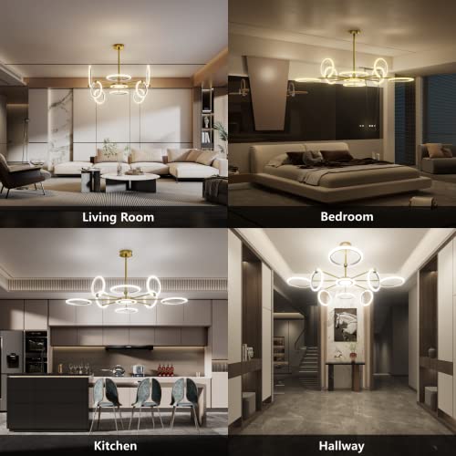 OUQI Ceiling Light Fixture,Modern 8 Lights Fixtures Ceiling Mount, Matte Gold Finish,7000K Dimmable Ceiling Lights with Remote DIY Light Fixture LED Chandelier for Bedroom Living Room Kitchen