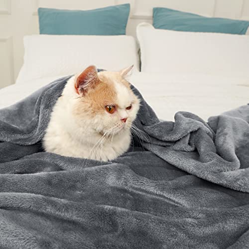 David's Home Fleece Queen Blanket,Ultra Soft More Durable Lightweight Velvety Bed Blanket,Lint-Free& No Pilling,300GSM All Season Luxury Plush Cozy Blanket with Wider Stitched Border,90"x90",Dark Grey