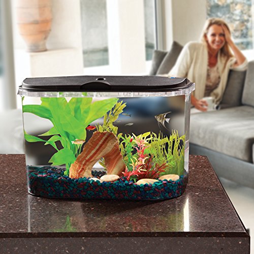 Koller Products 5-Gallon Aquarium Starter Kit with LED Lighting (7 Color Selections) and Power Filter, Ideal for a Variety of Tropical Fish