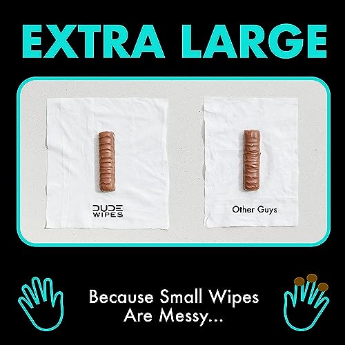 DUDE Wipes - Flushable Wipes - 3 Pack, 144 Wipes - Mint Chill Extra-Large Adult Wet Wipes - Vitamin-E, Aloe, Eucalyptus & Tea Tree Oils - Septic and Sewer Safe