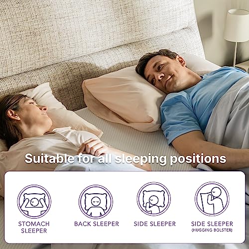 NapQueen 8 Inch Bamboo Charcoal Twin Size Medium Firm Memory Foam Mattress, Bed in a Box