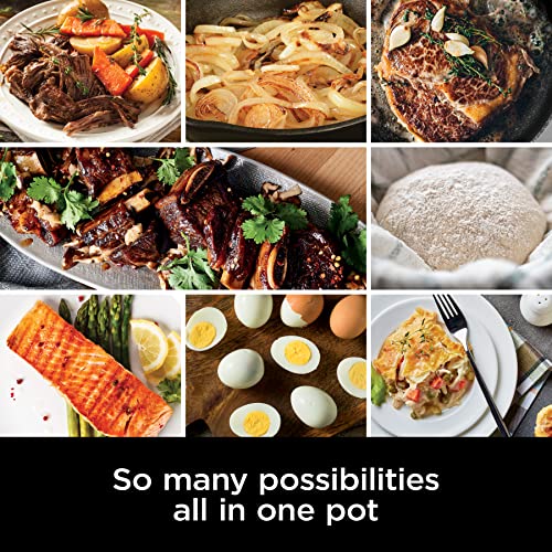 Ninja MC1001C Foodi PossibleCooker PRO 8.5 Quart Multi-Cooker, with 8-in-1 Slow Cooker, Dutch Oven, Steamer & More, Glass Lid & Integrated Spoon, Nonstick, Oven Safe Pot to 500°F, Sea Salt Gray
