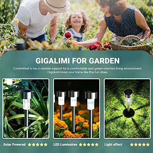 GIGALUMI Solar Gargen Lights, Solar Lights for Outside, 12Pack Stainless Steel LED Solar Lights Outdoor Waterproof Lights Outdoor Solar Lights for Patio, Lawn, Yard and Landscape-(Cold White)