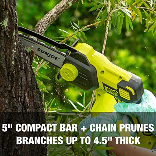 Sun Joe 24V-HCS-LTE-P1 24-Volt iON+ Cordless Mini Chainsaw, Green & SWJ-OIL Premium Bar, Chain and Sprocket Oil, All Season Chainsaw Chain Lubrication, 1-Quart
