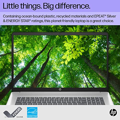 HP 17.3-inch Laptop, 11th Generation Intel Core i5-1135G7, Intel Iris Xe Graphics, 8 GB RAM, 512 GB SSD, Windows 11 Home (17.3-cn0026nr,Natural Silver)