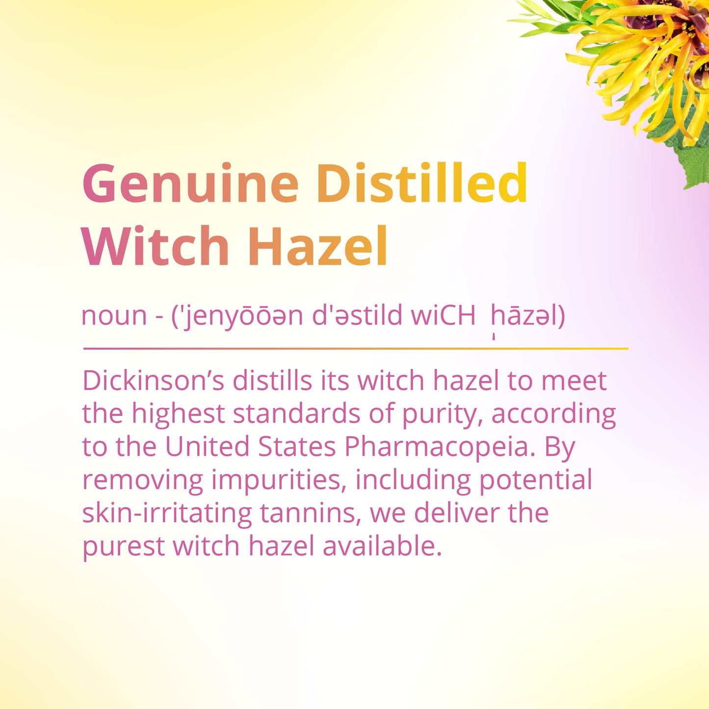 Dickinson's Original Witch Hazel Refreshingly Clean Cleansing Cloths with Aloe, 4 Pack, 25 Cloths per Pack