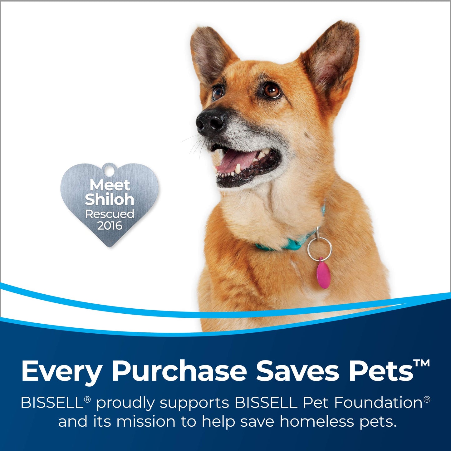 BISSELL PowerGlide Pet Slim Cordless Stick Vacuum, 30-min Runtime, Tangle-Free Brush Roll, LED Headlights, XL Tank, Multi-Level Filtration, 3-in-1 Pet Hair Tool, 3080