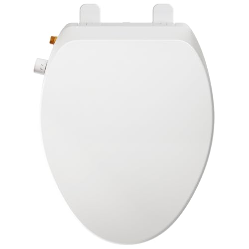 Elongated Non-Electric Bidet Toilet Seat with Dual Nozzle