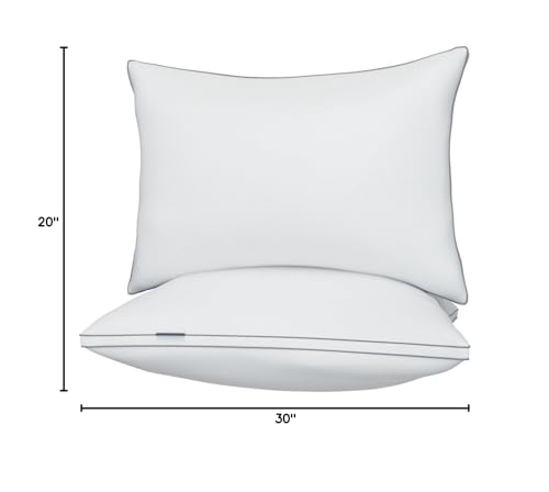 Queen Size Gusseted Down Alternative Pillows Set