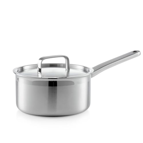 1.5 Quart Stainless Steel Saucepan With Lid Spout
