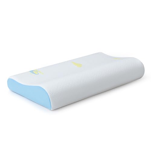 Memory Foam Travel Pillow, Adjustable Soft, 12x20 Inch