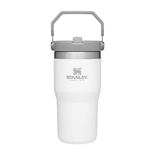 STANLEY Insulated Stainless Steel Flip Straw Tumbler 20 oz