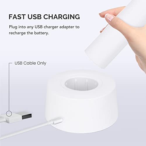 ZAPGEAR USB Rechargeable Electric Fly Swatter