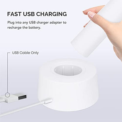 ZAPGEAR USB Rechargeable Electric Fly Swatter