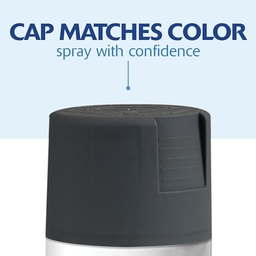 Rust-Oleum 350373-6PK Painter's Touch 2X Ultra Cover Spray Paint, 12 oz, Satin Charcoal Gray, 6 Pack