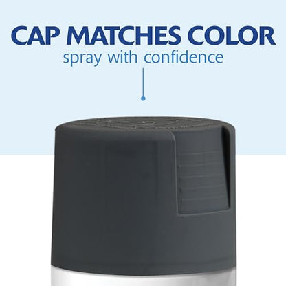 Rust-Oleum 350373-6PK Painter's Touch 2X Ultra Cover Spray Paint, 12 oz, Satin Charcoal Gray, 6 Pack