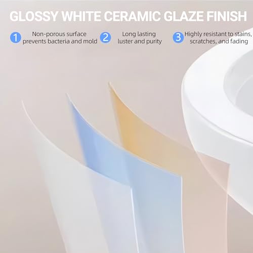 Favfurish Dual-Flush Elongated One Piece Toilet