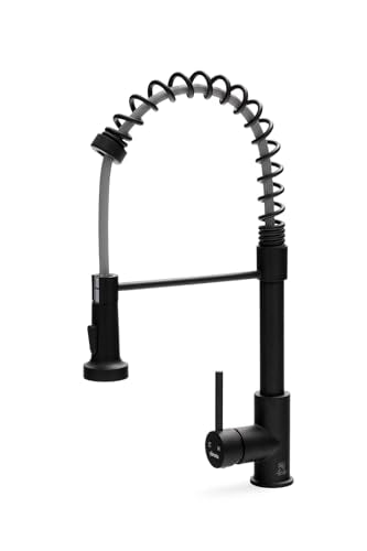 Single Lever Kitchen Faucet Pull Down Sprayer 360° Swivel