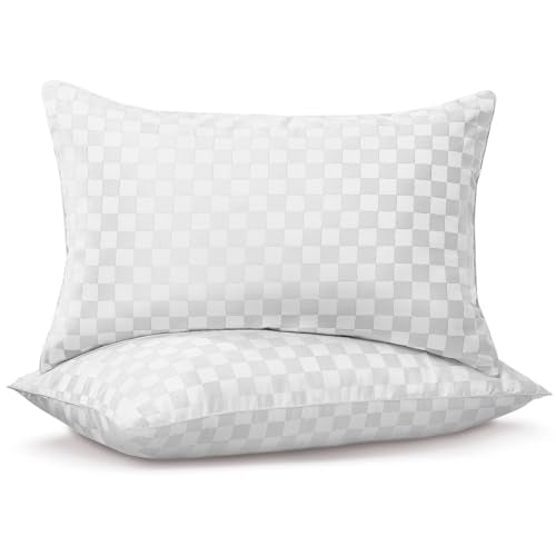 2 Pack Soft Down Alternative Bed Pillows