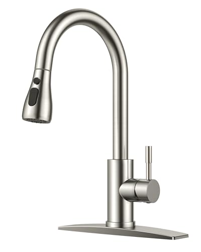 FORIOUS Kitchen Faucet with Pull Down Sprayer