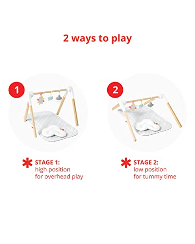 Skip Hop Cloud Activity Baby Gym Play Mat