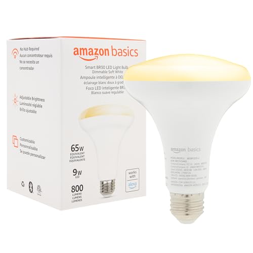 1 Pack Amazon Basics Smart BR30 LED Bulb Alexa