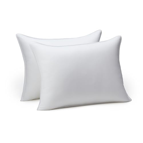 2 Pack Amazon Basics Soft Down Alternative Pillows