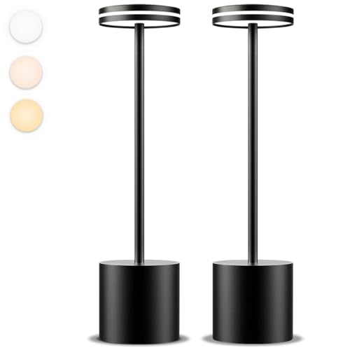Moslumin Cordless Rechargeable Table Lamps Set of 2