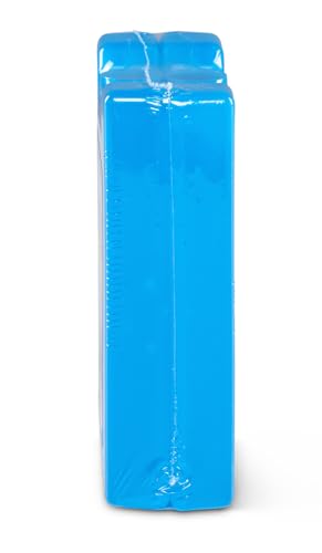 2 Pack Igloo Maxcold Ice Blocks