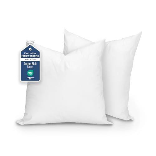 2 Pack Martex 22-Inch Throw Pillow Inserts
