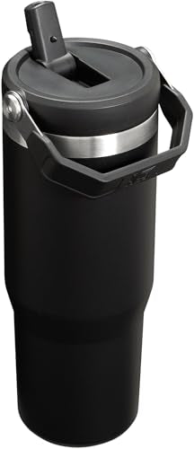 30oz STANLEY Vacuum Insulated Tumbler with Straw