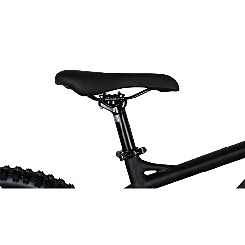 FREEFORCE Fairmount 20-in Electric Commuter Bike | Hybrid e-Bike for Adults, Thumb Throttle and Pedal Assist | for Urban City Commuting to Work or School | Matte Black