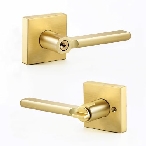 1 Pack Privacy Interior Door Lever with Lock