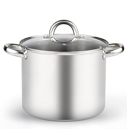 8 Quart Stainless Steel Stock Pot with Lid