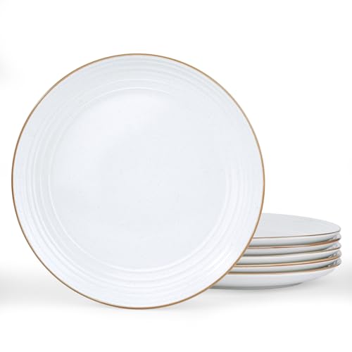 6 Pack Dinner Plates, 10.5 Inch, Microwave Safe