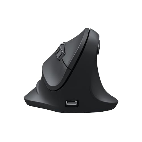 Wireless Ergonomic Mouse Bluetooth and 2.4G Adjustable DPI