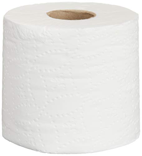 24 Rolls Amazon Basics 2-Ply Toilet Paper