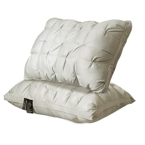 2 Pack Queen Bed Pillows for Sleeping Set