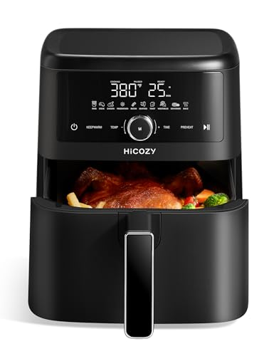 6QT 10-in-1 Air Fryer Family Size, Flash Crisp